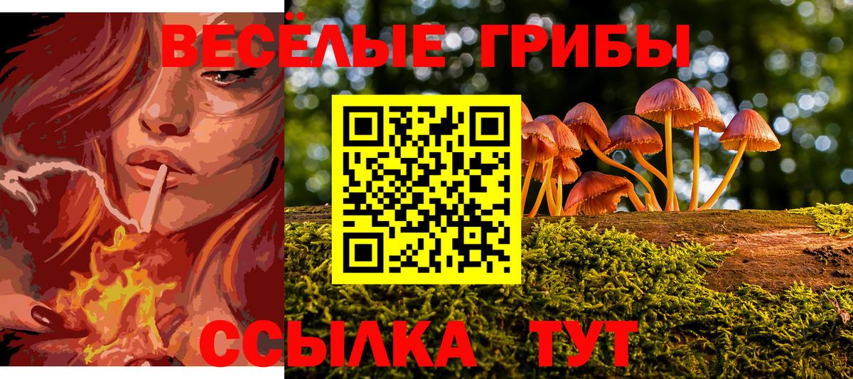Галлюциногенные грибы ЛСД Семёнов