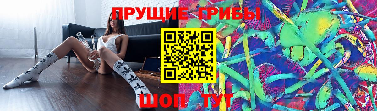 Галлюциногенные грибы Cubensis  купить наркотик  Семёнов  Вход с VPN 